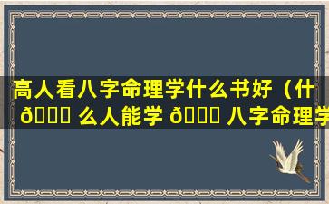 高人看八字命理学什么书好（什 🐞 么人能学 💐 八字命理学）